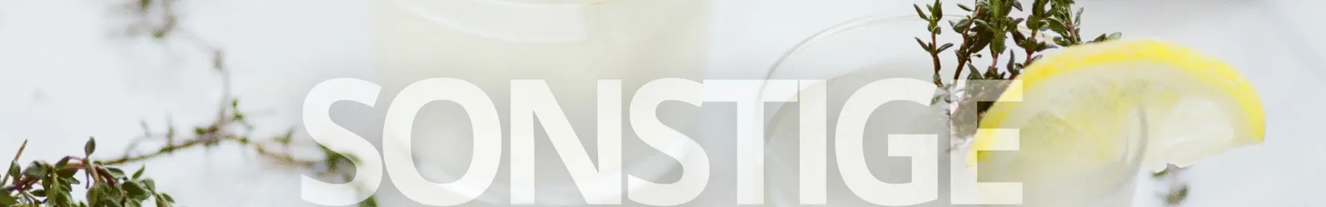 Sonstige Spirituosen Banner Web