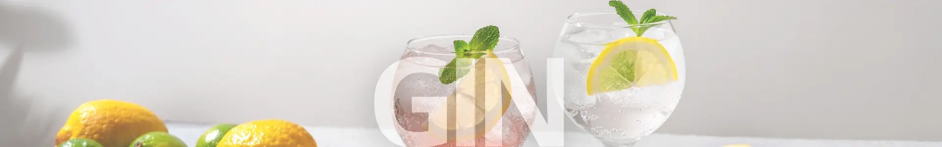 Gin Banner Web