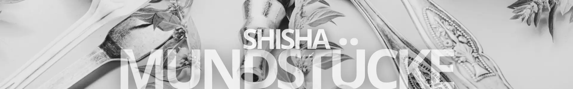 Shisha Mundstueck Banner Web