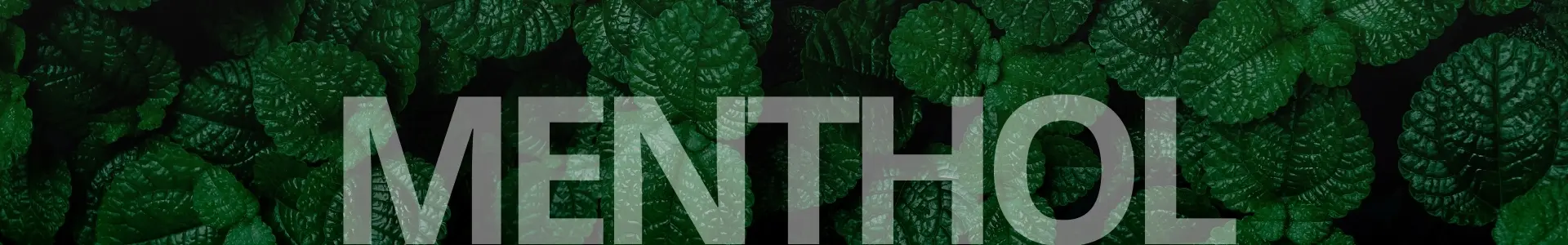 Menthol Banner Web