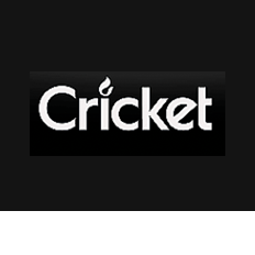 Cricket