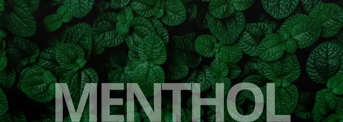 Menthol Banner Mobile